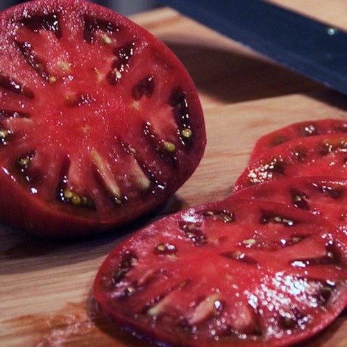 Cherokee purple tomate - purple, 10