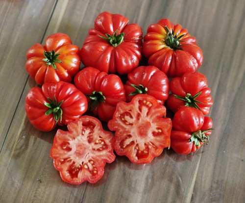 Tomatensamen fleischtomate - tomatensamen,