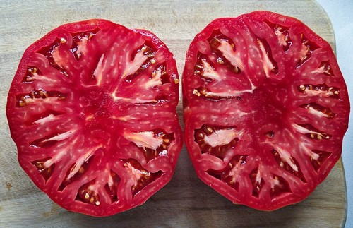 Tomatensamen krasnij gigant - tomatensamen,