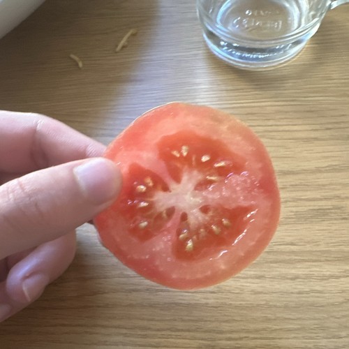 Tomate - 1.8,
