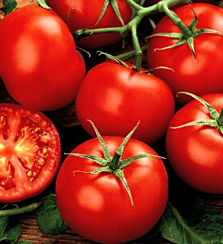 Samen tomate hellfrucht - samen,