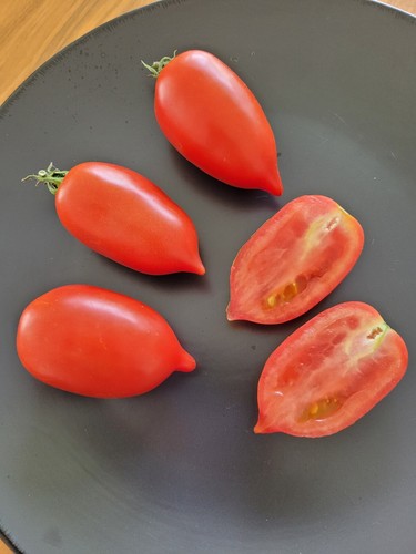 Tomatensamen sorte chelnok - 12,