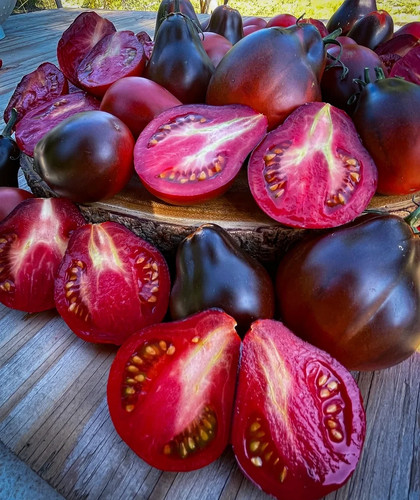 Tomatensamen - (7+, samen)