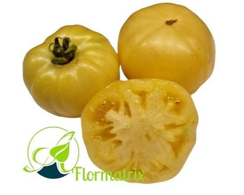 Tomatensamen fleischtomate - tomatensamen,
