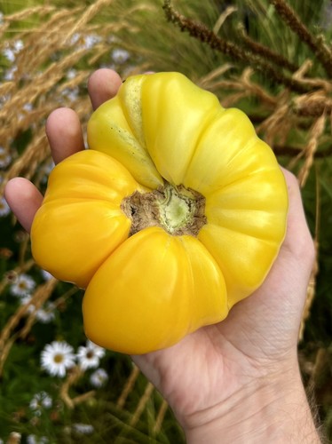 Limonnij gigant - limonnij,