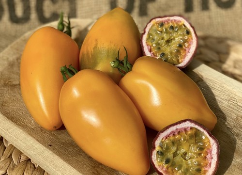 Mango django exotische - mango,
