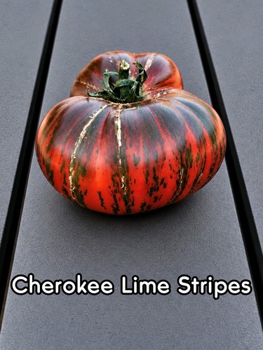 Tomatensamen cherokee lime - tomatensamen, |