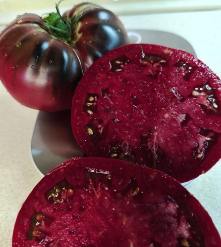 Samen tomate black from - samen,