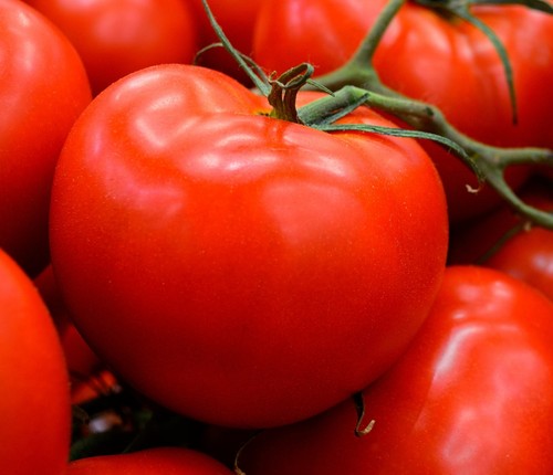 Samen tomate saint pierre - 50,