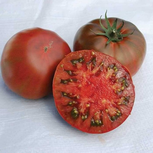 Tomate brauner zucker - tomate,