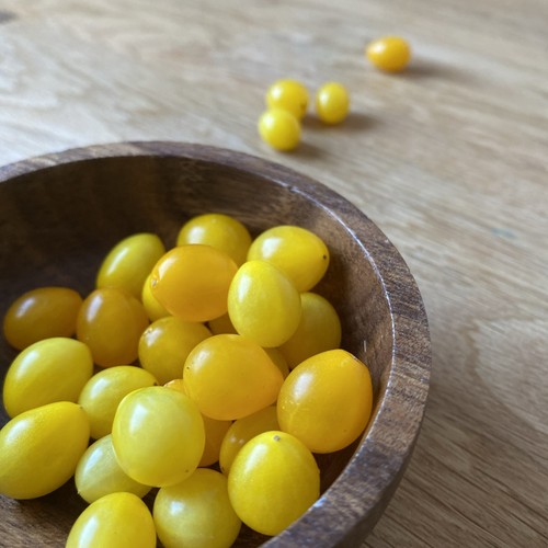 Samen johannisbeertomate - 20,