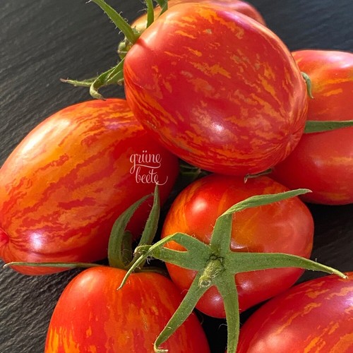 Tomatensamen geraldine - geraldine, 10