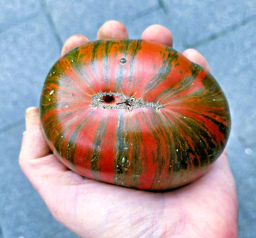 Chocolate stripes - chocolate,