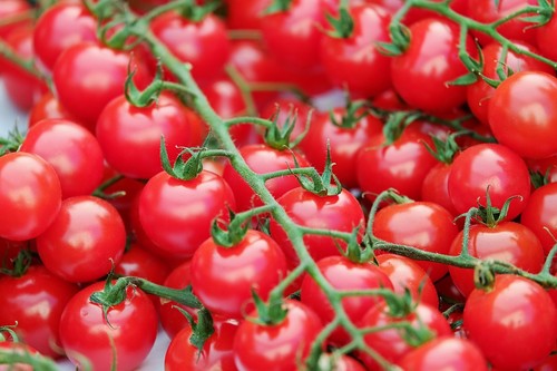 Zuckertraube rote tomate - rote,