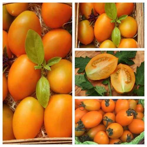 Orange banana - banana,