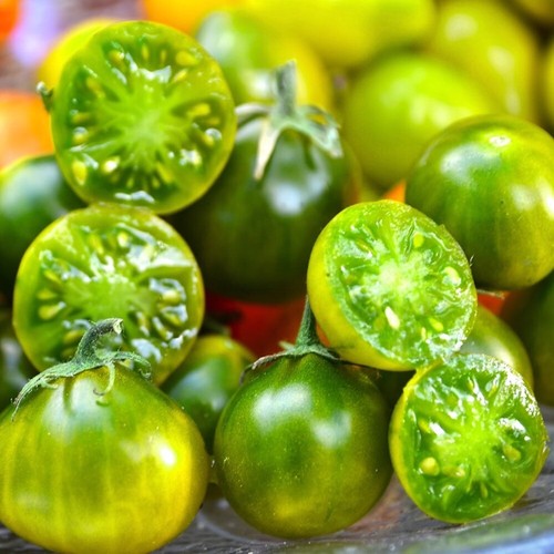 Tomate cerise verte samen - tomate,