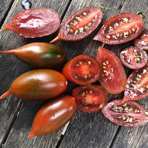 Tomate emalia samen - 10,