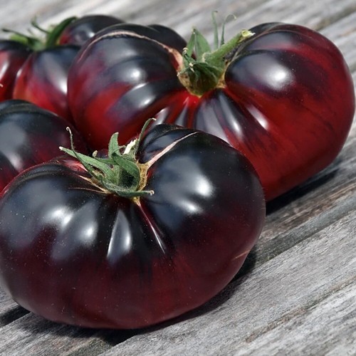 Tomate black beauty samen - 10,