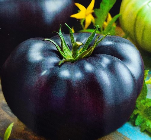 Samen tomate black - black, beauty