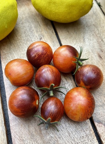 Dark orange muscat eine - eine, der