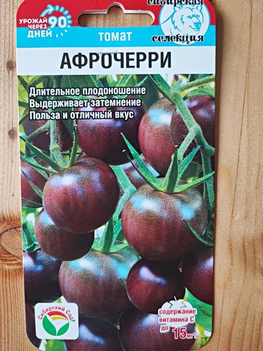 Tomaten samen afrocherry - samen, „afrocherry“