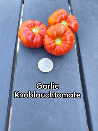 Tomatensamen garlic - |,