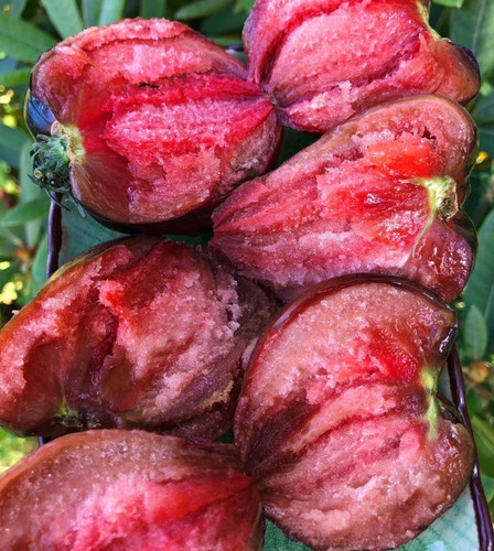 Samen tomate ochsenherz - tomate,