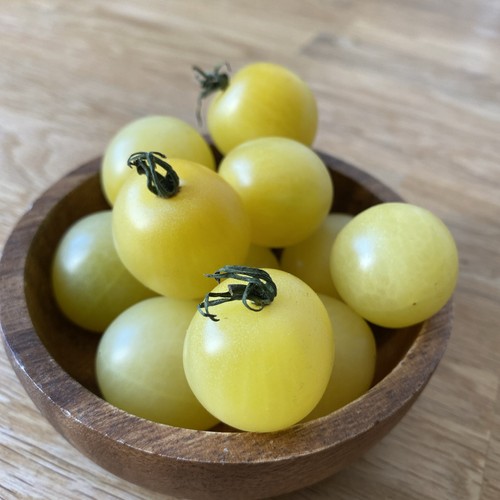 Tomatensamen cherrytomate - 20,