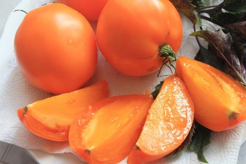 Samen tomate - 10, +