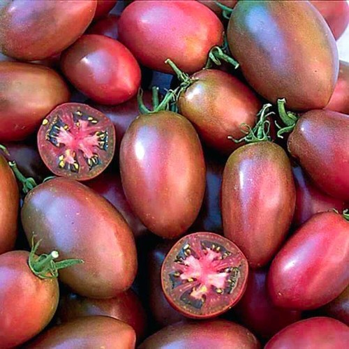 Tomate ukrainian purple - ukrainian,