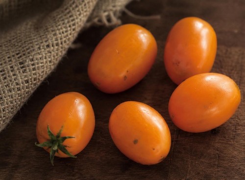 Gelbe tomate aus ameis - aus,