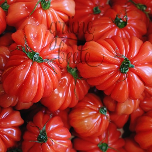 Ochsenherz fleisch tomate - ochsenherz, fleisch-tomate