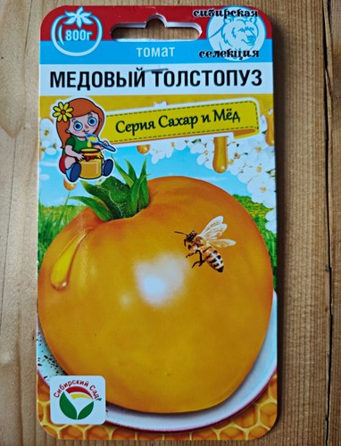 Tomaten samen honigdicke - tomaten, „honigdicke"