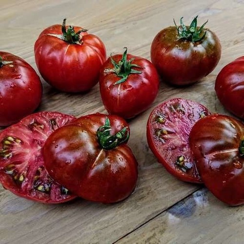 Tomate sleeping lady samen - sleeping,