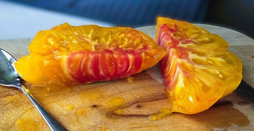 Tomatensamen kozula 136 - -,