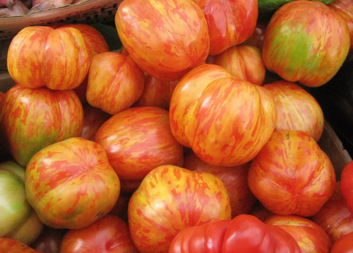 Tomate tigerella - tigerella, –