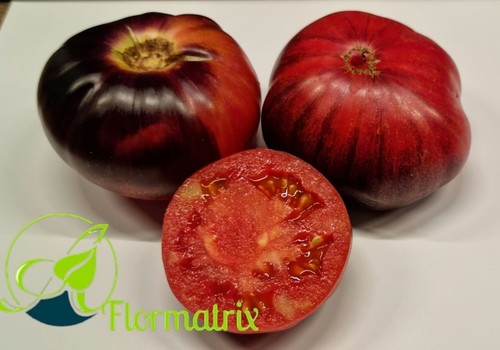 Tomatensamen fleischtomate red - fleischtomate,
