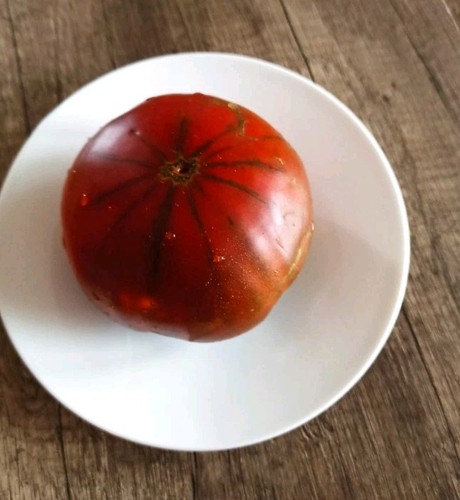 Tomate samen sweet - ,
