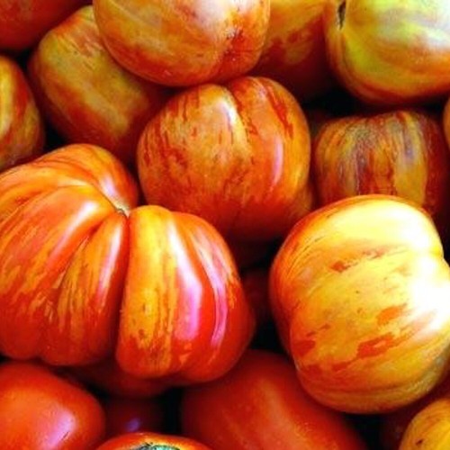 Old german tomate samen - tomate,