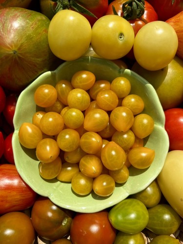 Pear pleasure - pear,