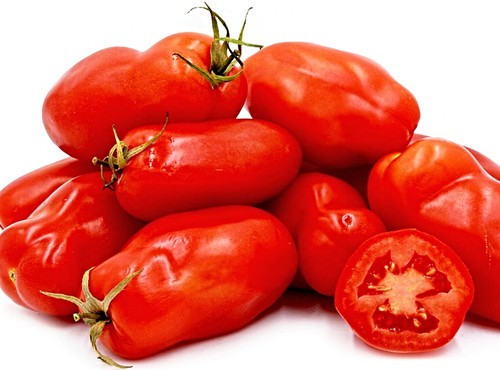Tomate san marzano samen - "san,