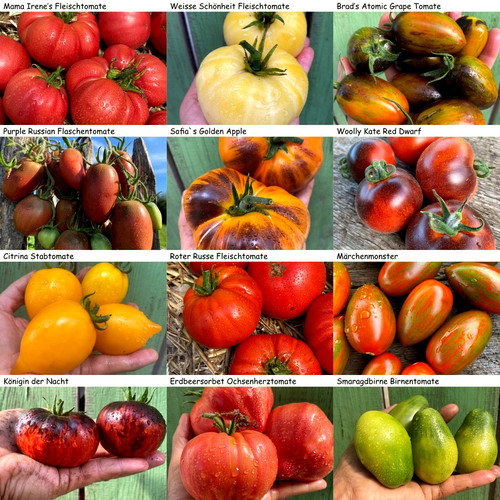 Chiemgauer tomatenglück set - chiemgauer,