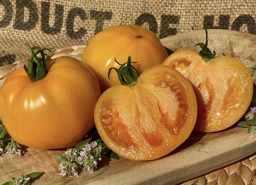 Orangevij jubilej oranges - jubilej, (oranges