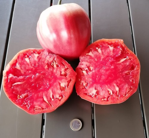 Tomatensamen russische - tomatensamen, |