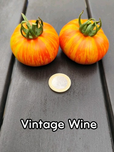 Tomatensamen vintage wine - |,