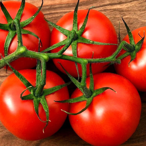 Tomate matina extrem frühe - matina,